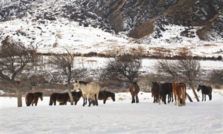 Kyrgyzstan