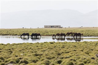 Kyrgyzstan