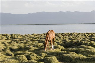 Kyrgyzstan