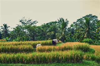 Laos