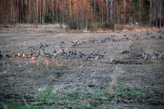 Latvia