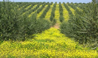 Lebanon