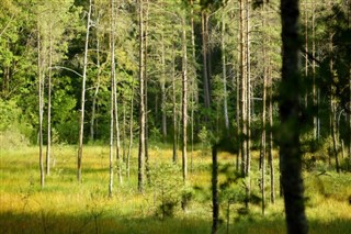 Lithuania