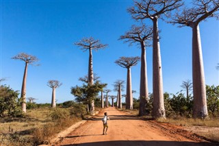 Madagascar