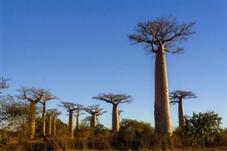 Madagascar