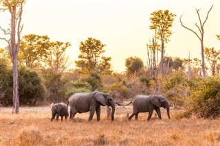 Malawi