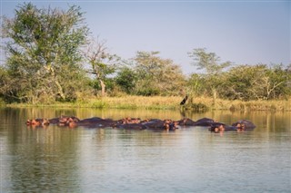 Malawi