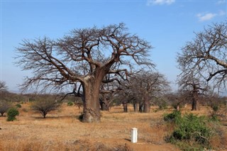 Malawi