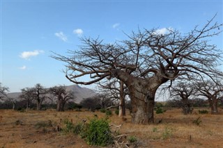 Malawi