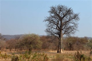 Malawi