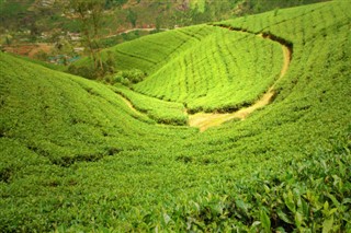 Malaysia