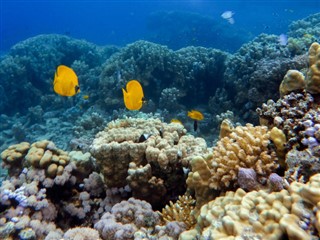Maldives