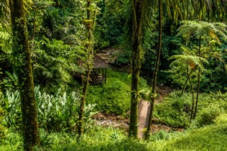 Martinique