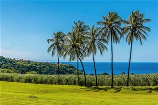 Martinique