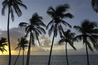 Martinique