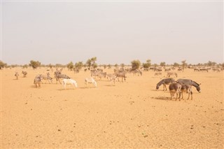 Mauritania