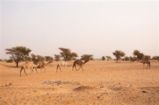 Mauritania