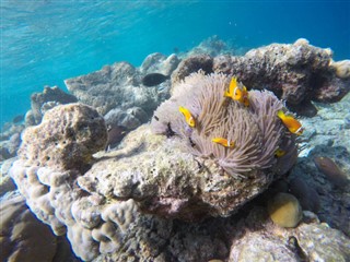 Mayotte