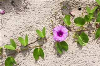 Mayotte