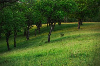 Moldova