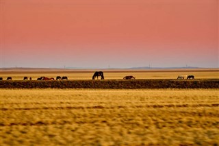 Mongolia