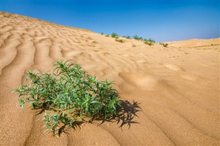 Mongolia