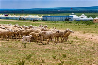 Mongolia