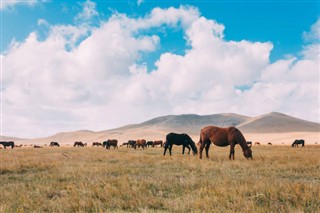 Mongolia