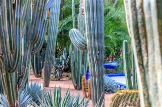 Morocco