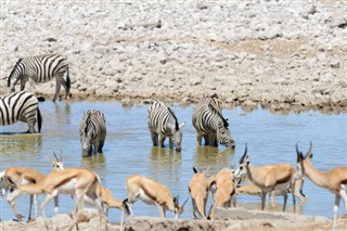 Namibia