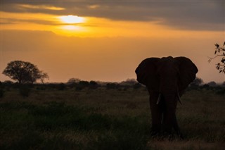 Namibia