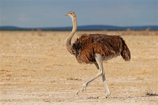 Namibia