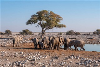 Namibia