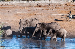 Namibia