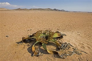 Namibia