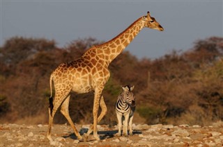 Namibia