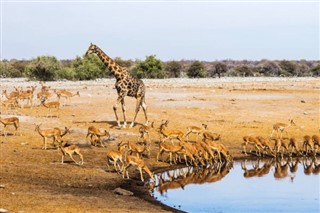 Namibia