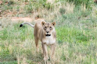 Namibia