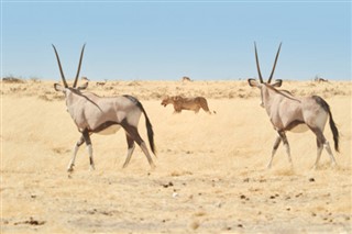 Namibia