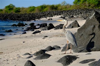 Nauru