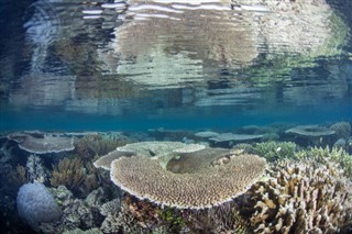 Nauru