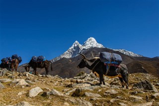 Nepal