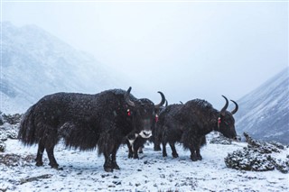 Nepal