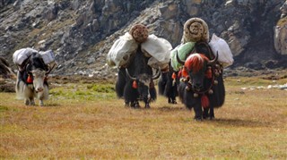 Nepal