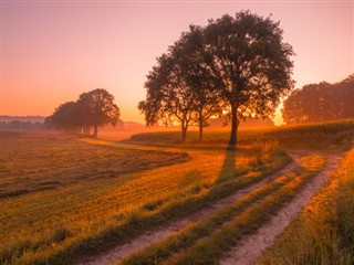 Netherlands