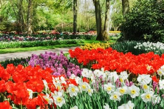 Netherlands