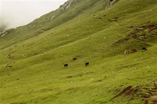 Pakistan