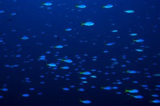 Palau
