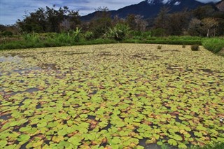 Papua