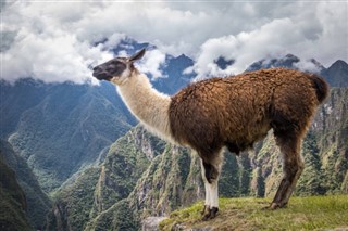 Peru